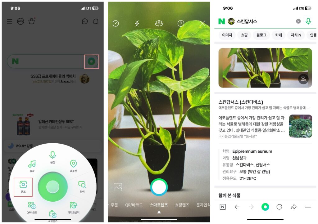 식물이름찾기